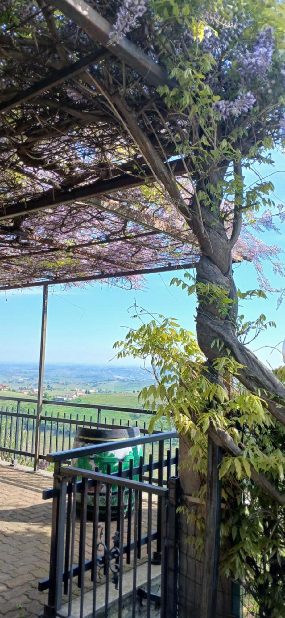 Casa Vacanza Il Colle Del Vento Calosso Dış mekan fotoğraf